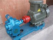 TCB防爆齿轮泵-不锈钢齿轮泵