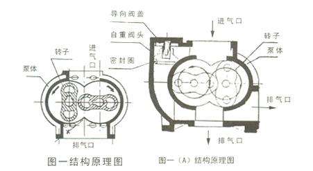 LCW型罗茨泵结构图